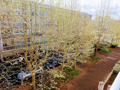 Cabinet Avocat GHALI, Avocat à Cenon