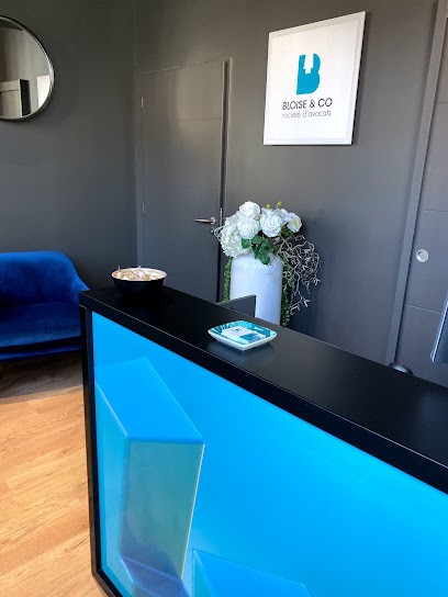 Agnès Bloise, Avocat à Bourg-en-Bresse