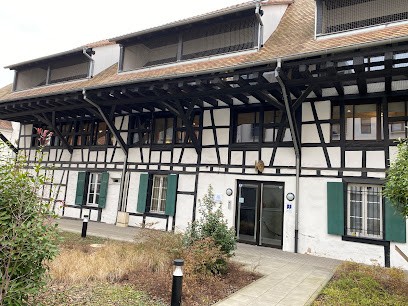 Julie DRECHSLER - AVOCAT Strasbourg et Schiltigheim, Avocat à Schiltigheim