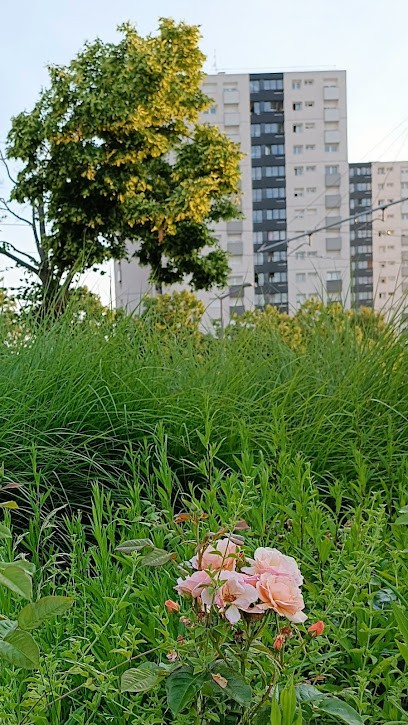 Babot-Simon Virginie, Avocat à Vénissieux