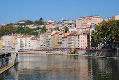 Sylvain Dubray Avocat, Avocat à Villeurbanne