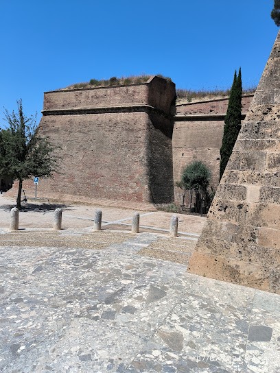 Nicolau Christelle Suzanne, Avocat à Perpignan