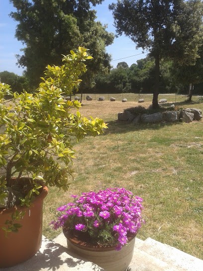 Avocat BABIN Michèle (Barreau De BASTIA), Avocat à Serra-di-Fiumorbo