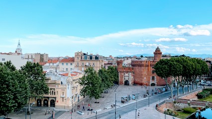 Camille Manya - Avocat - Perpignan, Avocat à Perpignan