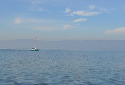 Juliand Céline, Avocat à Thonon-les-Bains