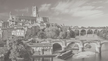 Nicolas Dubergé Avocat, Avocat à Albi