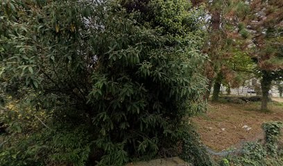 Juillerat Richter Gaelle, Avocat à Sélestat