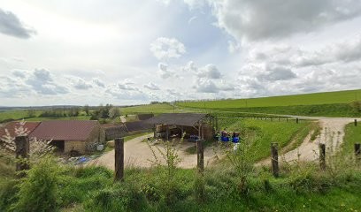 FIDUCIAL Sofiral Avocats Saint Langis Les Mortagne, Avocat à Saint-Langis-lès-Mortagne