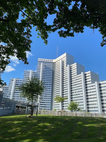 ElfeTerria, Avocat à Saint-Herblain