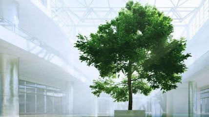 ADARIS AVOCATS, Avocat à Schiltigheim