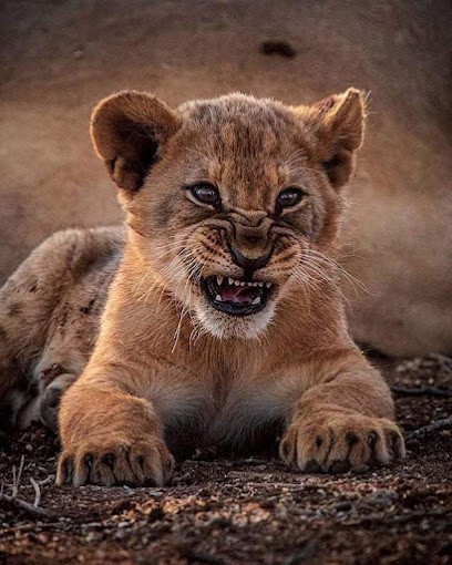 Fidal, Avocat à Bourges
