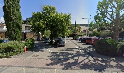 Nathalie DUBOURG COUSTON - AVOCAT - Litiges Civils Et Commerciaux - Conseil Aux Entreprises - Procédures Collectives, Avocat à Nyons