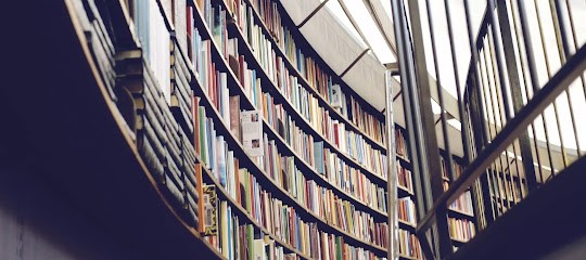 Laura More Avocat, Avocat à Nice