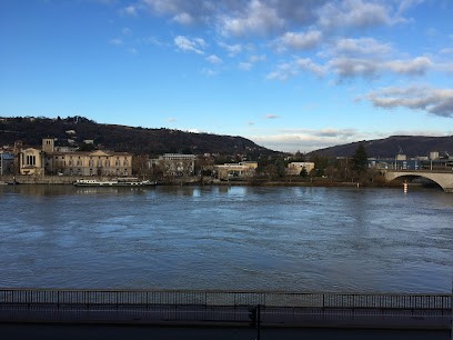 Maitre Léa Gellet - Avocat à Vienne, Avocat à Vienne