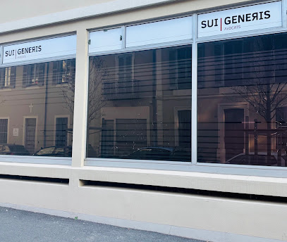 Sui Generis Avocats Avocat à Nîmes