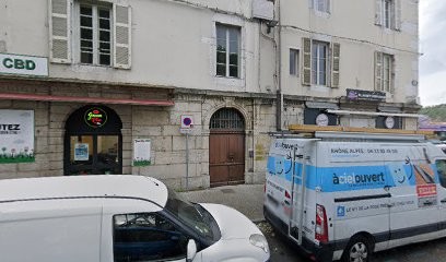 Alexandra Léger Avocat, Avocat à Vienne