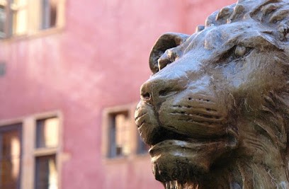 Charles FREIDEL - Avocat en droit immobilier et en droit des affaires, Avocat à Lyon 02