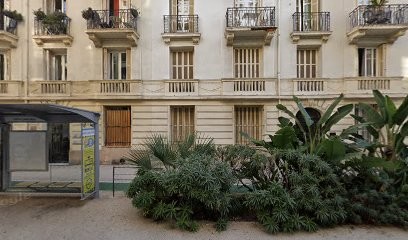 Armando Pierre, Avocat à Nice