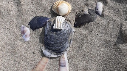 Epailly Laurent, Avocat à Gignac