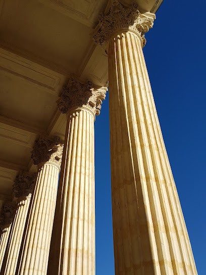 SCHWARZENBACH Manuelle, Avocat à Montbrison