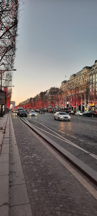 BUSINESS & LAW, Avocat à Paris 08