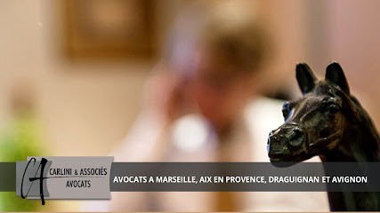 Olivier Comte, Avocat à Saint-Maximin-la-Sainte-Baume