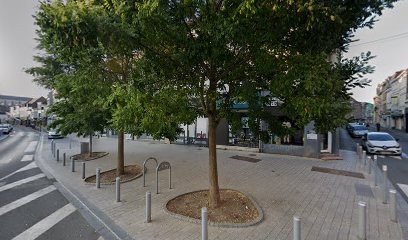 Maître Caroline Lemer, Avocat à Saint-Amand-les-Eaux