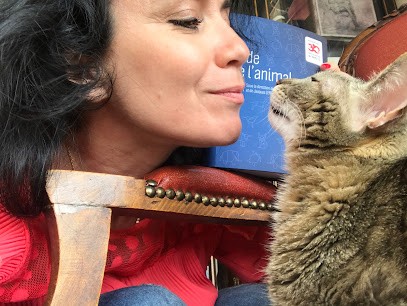 Bonaud Cunha Valerie Avocat, Avocat à Menton