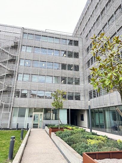 Avocat Droit des affaires | Avocat Toulouse - BANGOURA Avocat, Avocat à Toulouse