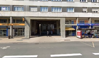 Master Leslie Perez, Avocat au Mans