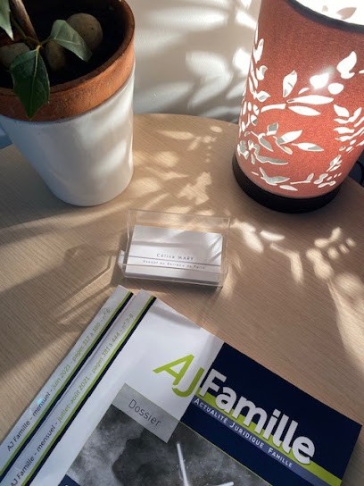 Céline MARY Avocate et Médiatrice, Avocat à Paris 15