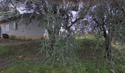 Lallemand Sylvie, Avocat à La Gaude