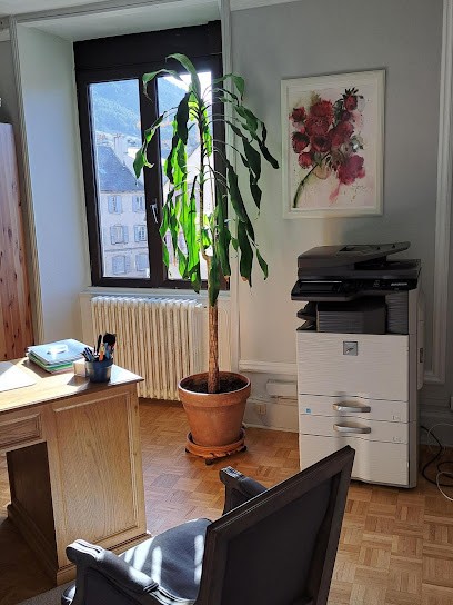 Clarisse Ribiere Avocat SELARL, Avocat à Mende