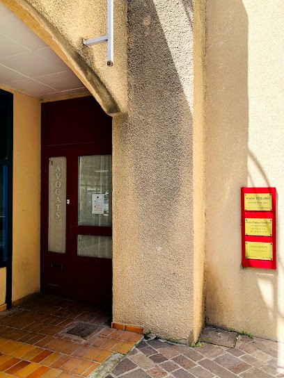 Collino Katia, Avocat à Salon-de-Provence