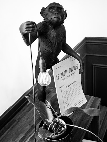 Maître Nathalie Bruche, Avocat à Marseille 06