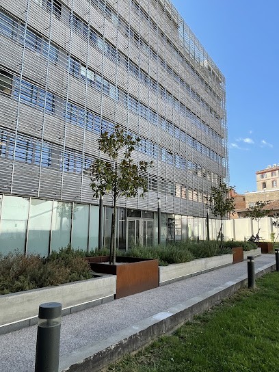 Larrieu Morton Avocat Droit du Travail, Avocat à Toulouse