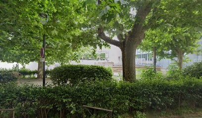 EY Toulouse, Avocat à Toulouse