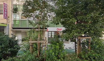 Hechmati Chahrnaz, Avocat à Nice