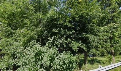 Oger Géraldine, Avocat à Hautecour