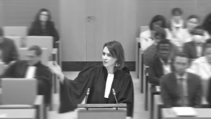 Maud Guillemet - Avocate Pénaliste À Marseille Avocat à Marseille 01