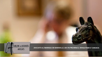 Carlini & Associés, Avocat à Pertuis