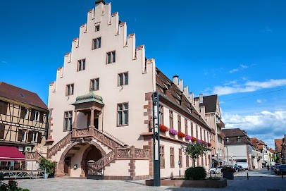 Poty Christelle, Avocat à Sélestat
