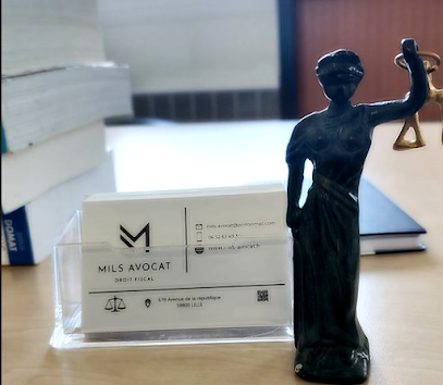 Mils Avocat - Droit Fiscal Avocat à Saint-André-lez-Lille
