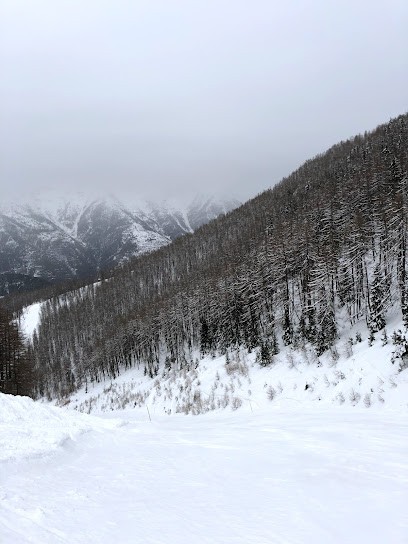 Cabinet d’avocats Auron Saint Étienne de Tinée - INDEMNISATION ACCIDENTS, Avocat à Saint-Étienne-de-Tinée