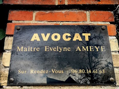 Ameye Evelyne, Avocat à Trappes
