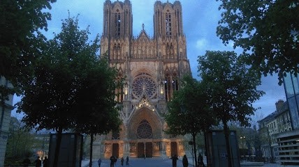 Avocat Reims, Maître Emilie Deliere, Avocat à Reims
