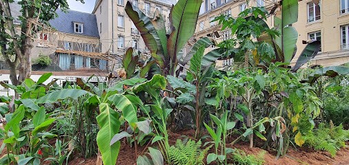 House of the Lawyer, Avocat à Reims