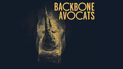 Backbone Avocats, Avocat à Paris 17