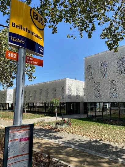 Cyrielle BISSARO - Avocat en droit du travail, Avocat à Muret