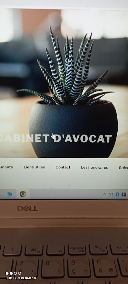 Carine LE GOFF Cabinet d'AVOCAT, Avocat à Bagnolet